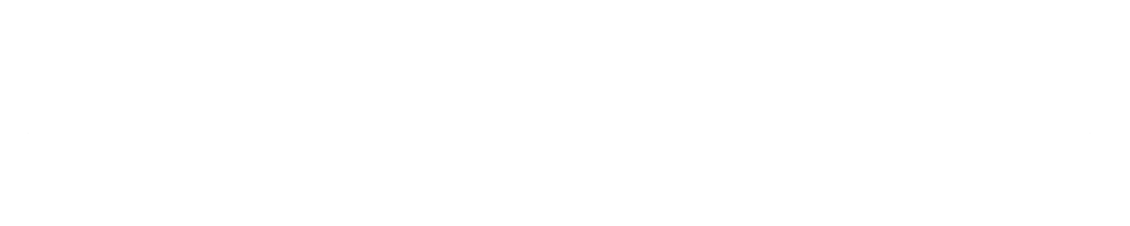 N+P PROFI logo